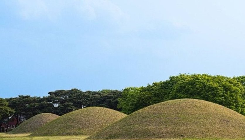 경주 대릉원 고분과 산책로 풍경